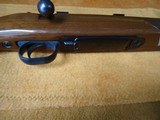 Revelation
Model R220B in 243 Winchester - 8 of 11