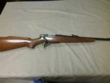 Remington 600 Mohawk 243 - 1 of 7