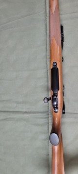 Remington 700 Mountain Rifle 257 Roberts - 10 of 10