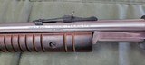 Taurus Model 172 17HMR Stainless CARBINE - 4 of 8