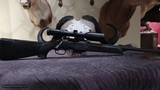 Steyr SSG69 in .308 - 3 of 10