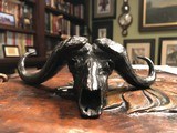 Cape Buffalo bronze skull by Mike Barlow - 1 of 3
