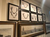 Limited Edition Set of Red Stag and Roebuck Antler Prints by Westley Richards, Ltd. - 5 of 5