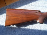 Custom 98 Mauser 257 Roberts in Immaculate Condition - 5 of 11