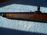 Custom 98 Mauser 257 Roberts in Immaculate Condition - 9 of 11