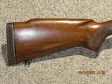 WINCHESTER PRE 64 MODEL 70300 Win. Mag. - 14 of 14