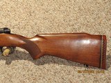WINCHESTER PRE 64 MODEL 70300 Win. Mag. - 12 of 14