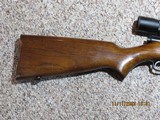 WINCHESTERMDL. 43.218 BEESTANDARD - 9 of 15