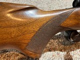 WINCHESTER PRE 64 MODEL 70 .257 ROBERTS. (Collector Grade) - 11 of 13