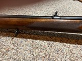 WINCHESTER PRE 64 MODEL 70 .257 ROBERTS. (Collector Grade) - 9 of 13