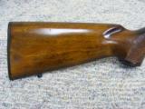 Winchester Wildcat - 6 of 7
