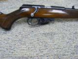 Winchester Wildcat - 4 of 7