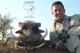 Ngwarati Safaris Africa offers Limpopo 5 Day Package - Image 4 of 12