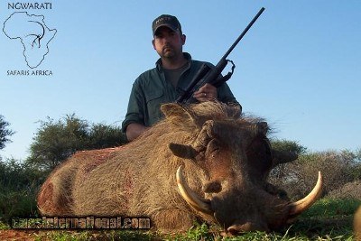 Ngwarati Safaris Africa offers Limpopo 7 Day Package - Image 7 of 12