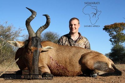 Ngwarati Safaris Africa offers Limpopo 7 Day Package - Image 4 of 12