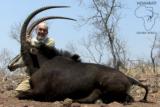 Ngwarati Safaris Africa offers 10 Day Sable & Plains Game Safari - Image 4 of 12