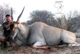 Ngwarati Safaris Africa offers 10 Day Sable & Plains Game Safari - Image 3 of 12
