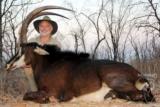 Ngwarati Safaris Africa offers 10 Day Sable & Plains Game Safari - Image 12 of 12