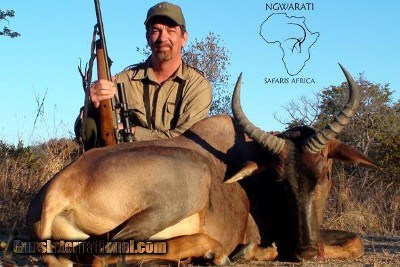 Ngwarati Safaris Africa offers 10 Day Sable & Plains Game Safari - Image 7 of 12