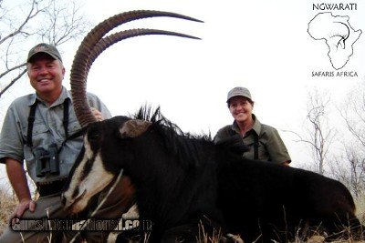 Ngwarati Safaris Africa offers 10 Day Sable & Plains Game Safari - Image 8 of 12