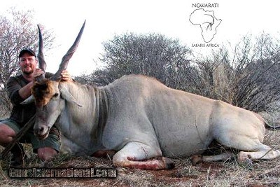 Ngwarati Safaris Africa offers 10 Day Sable & Plains Game Safari - Image 3 of 12