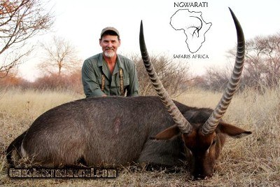 Ngwarati Safaris Africa offers 10 Day Sable & Plains Game Safari - Image 2 of 12