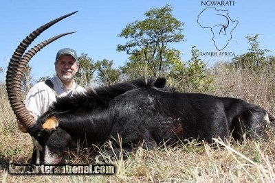 Ngwarati Safaris Africa offers 10 Day Sable & Plains Game Safari - Image 1 of 12