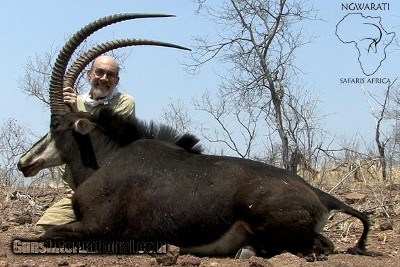 Ngwarati Safaris Africa offers 10 Day Sable & Plains Game Safari - Image 4 of 12