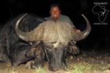 Ngwarati Safaris Africa offers 10 Day Buffalo & Plains Game Safari - 5 of 12