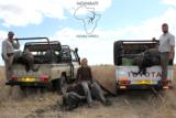 Ngwarati Safaris Africa offers 10 Day Buffalo & Plains Game Safari - Image 1 of 12