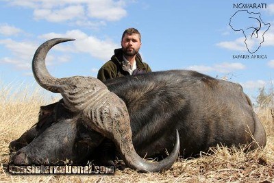 Ngwarati Safaris Africa offers 10 Day Buffalo & Plains Game Safari - Image 11 of 12