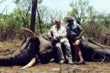 Ngwarati Safaris Africa offers 10 Day Elephant Bull Hunt - Image 7 of 10