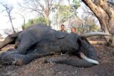 Ngwarati Safaris Africa offers 10 Day Elephant Bull Hunt - Image 6 of 10