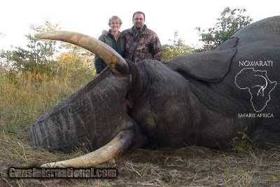 Ngwarati Safaris Africa offers 10 Day Elephant Bull Hunt - Image 2 of 10