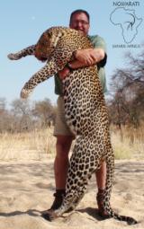 Ngwarati Safaris Africa offers 10 Day Classic Leopard Hunt - Image 1 of 6