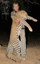Ngwarati Safaris Africa offers 10 Day Classic Leopard Hunt - Image 3 of 6