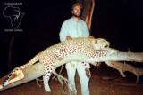 Ngwarati Safaris Africa offers 10 Day Classic Leopard Hunt - Image 5 of 6