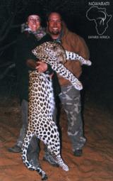 Ngwarati Safaris Africa offers 10 Day Classic Leopard Hunt - Image 2 of 6