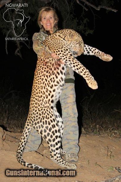 Ngwarati Safaris Africa offers 10 Day Classic Leopard Hunt - Image 3 of 6