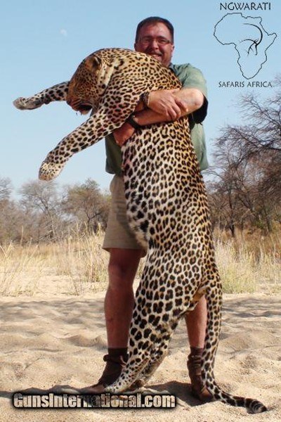 Ngwarati Safaris Africa offers 10 Day Classic Leopard Hunt - Image 1 of 6
