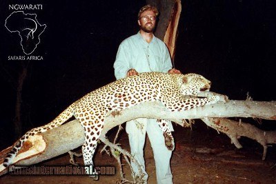 Ngwarati Safaris Africa offers 10 Day Classic Leopard Hunt - Image 5 of 6