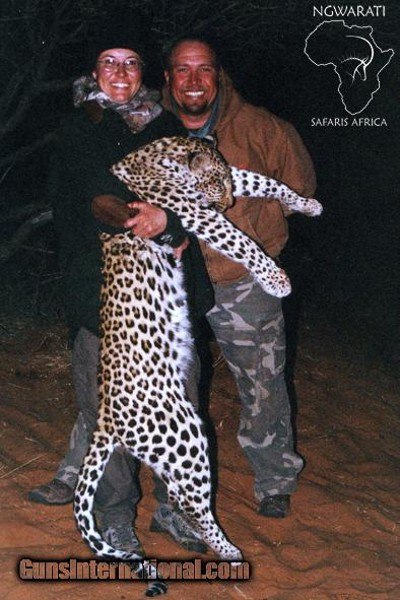 Ngwarati Safaris Africa offers 10 Day Classic Leopard Hunt - Image 2 of 6