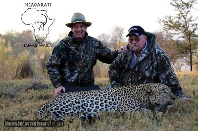 Ngwarati Safaris Africa offers 12 Day Leopard with Hounds Hunt - Image 2 of 2