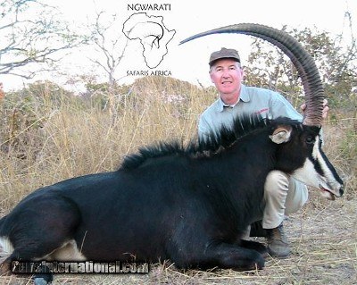 Ngwarati Safaris Africa offers 14 Day Buffalo & Sable Safari - Image 12 of 12