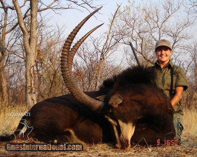 Ngwarati Safaris Africa offers 14 Day Buffalo & Sable Safari - Image 6 of 12
