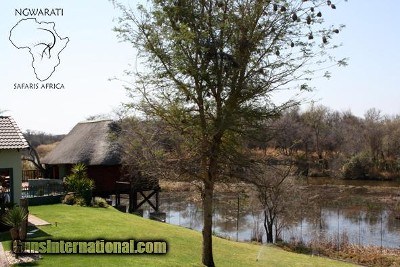 The Matlabas River Lodge - Ngwarati Safaris Africa - Image 2 of 5