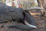 Ngwarati Safaris Africa offers Dangerous Game Hunting - 3 of 12