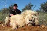 Ngwarati Safaris Africa offers Dangerous Game Hunting - Image 7 of 12