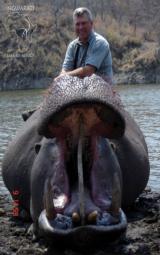 Ngwarati Safaris Africa offers Dangerous Game Hunting - Image 2 of 12