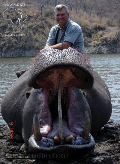 Ngwarati Safaris Africa offers Dangerous Game Hunting - Image 2 of 12